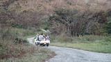 IMG_1059