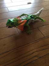 IMG_8415
