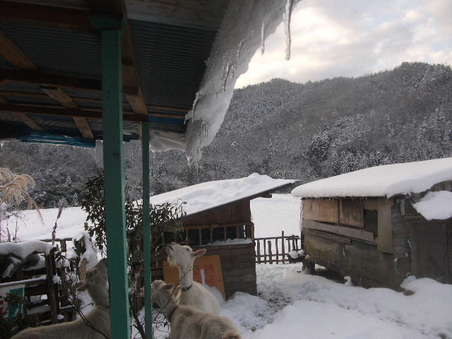 2013_02170132