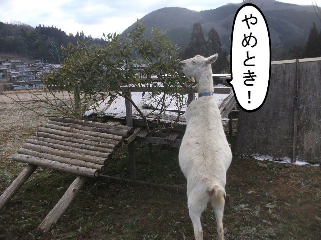 BlogPaint