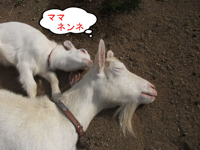 BlogPaint