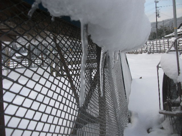 2013_02170129