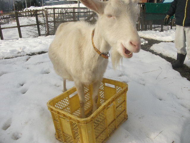 2013_02170077