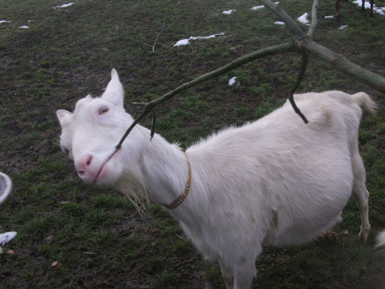 2013_02170221