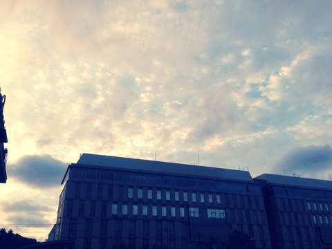 写真 2