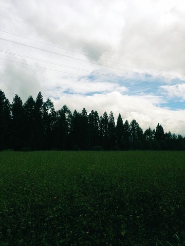 image_5