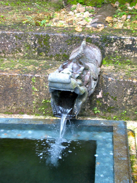 20100217龍樋