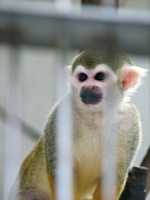 090921動物園1