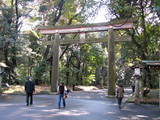 20100305明治神宮北(代々木側)