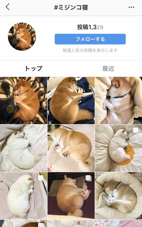 インスタで最強のタグを発見した2