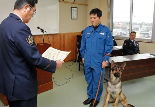 警察犬、行方不明になった中学生をわずか10分で発見2