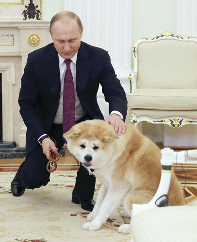 no title