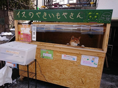 犬の焼き芋屋さん