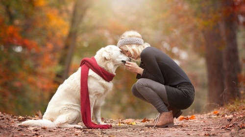 【朗報】ウチの犬、他の家の犬より可愛い