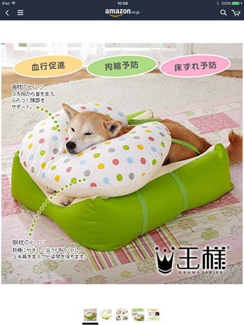 寝たきりのワンコにピッタリな老犬用のベッド
