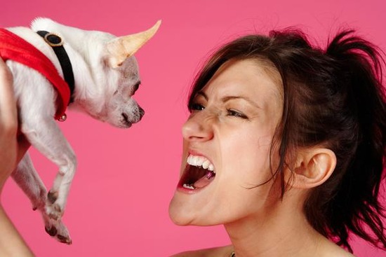 犬と喧嘩して3日口聞いてない