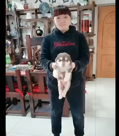 no title