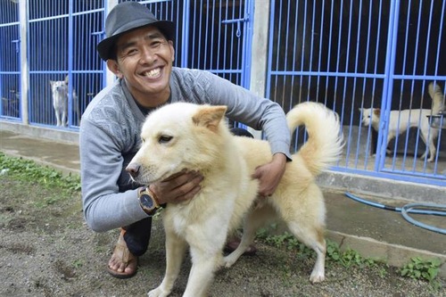 バリ島原産「キンタマーニ犬」をブランド化へ