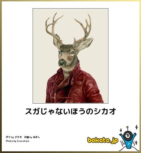 動物のボケて画像貼りましょう11