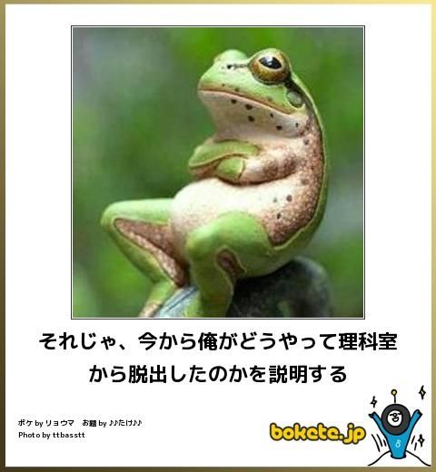 動物のボケて画像貼りましょう4