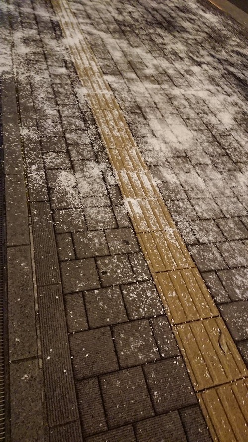 犬の散歩時は融雪剤に注意しよう!