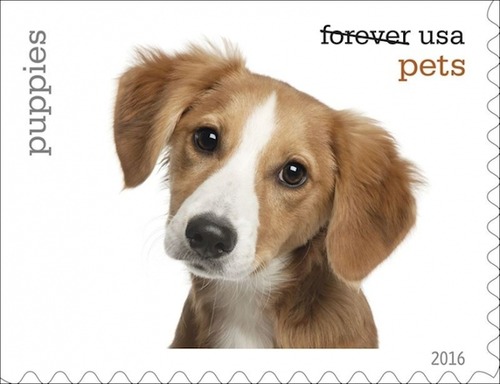 犬が描かれた切手の画像をひたすら貼ってくよ