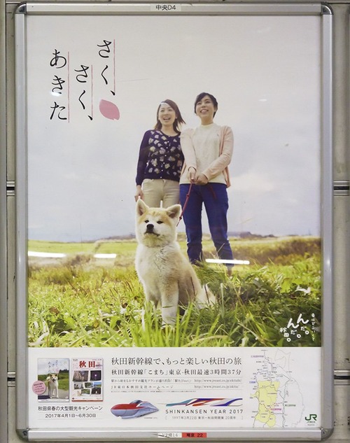 秋田県のポスターの秋田犬が可愛すぎる12