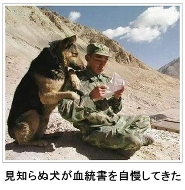 動物のボケて画像貼りましょう2