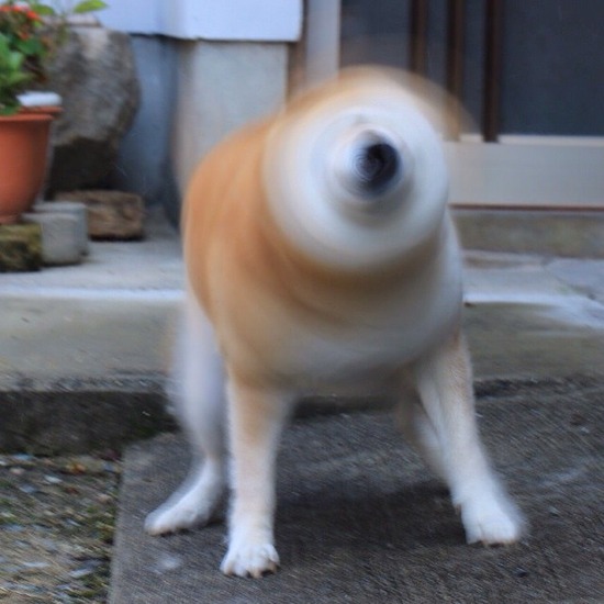 no title