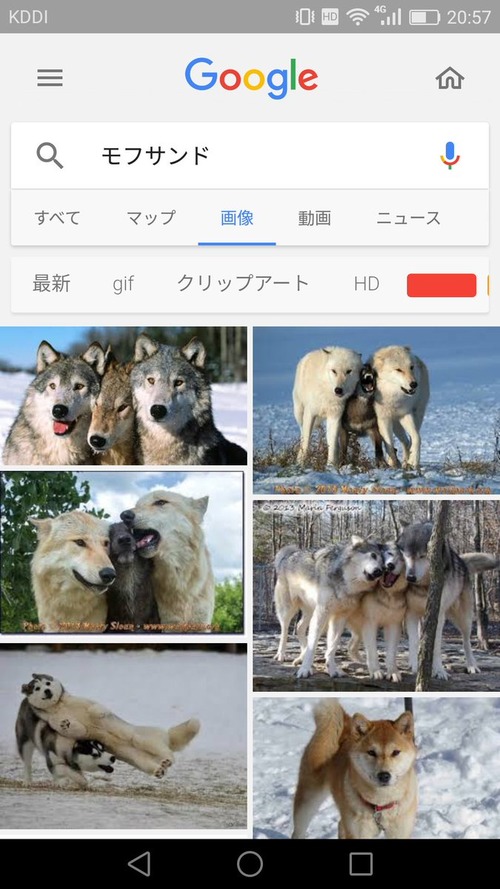 モフサンド