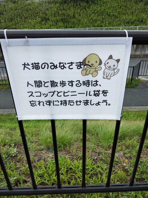 犬語で書かないとわかんないだろw