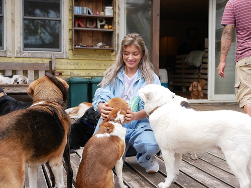ローラ「昨日は犬の保健所に行ってきたんだ