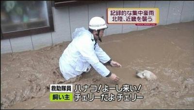 ハナコ!よーしこい!