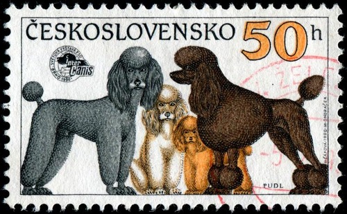 犬が描かれた切手の画像をひたすら貼ってくよ17