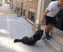 かえりたくないーぬ