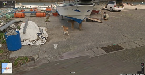 【悲報】googleカーさん、犬に追いかけ回される