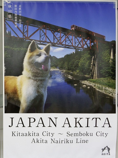 秋田県のポスターの秋田犬が可愛すぎる11