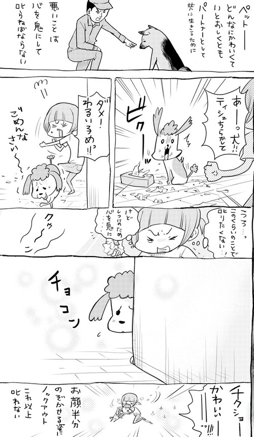 犬と猫の反省仕方の違い
