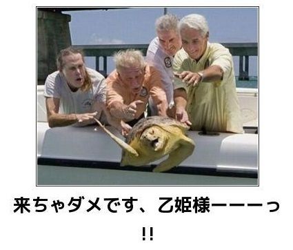 動物のボケて画像貼りましょう3