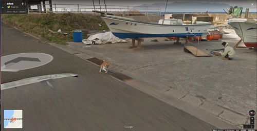 【悲報】googleカーさん、犬に追いかけ回される2