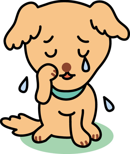「迷い犬探し」費用名目で160万円騙し取った男を逮捕