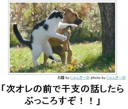 動物のボケて画像貼りましょう16