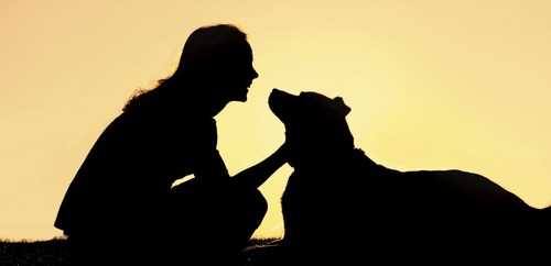 女「犬でも飼うか」