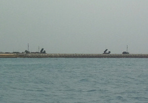 PAC3
