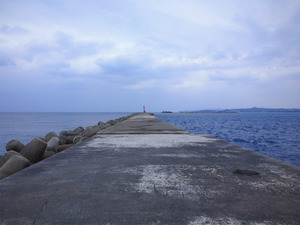 沖堤防