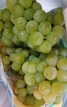 KIMG0033