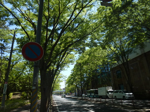 P1180582