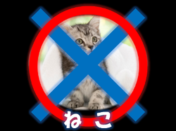 無題2