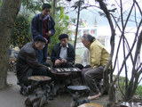 Playing-chinese-chess