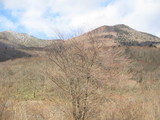 裏山